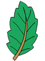 Medio ambiente